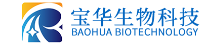 云开体育官方网站登录·(中国)官网入口
